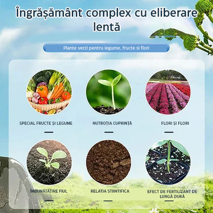 EverGreenGrow™ | Hrănește-ți grădina, semănează viitorul: strălucire cu eliberare lentă în fiecare tabletă! (11+11 GRATUIT)